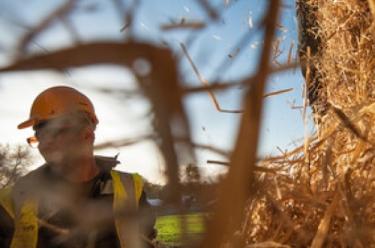 Worker in field